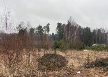 Участок, 106 сот, 165&nbsp;000&nbsp;000 руб.